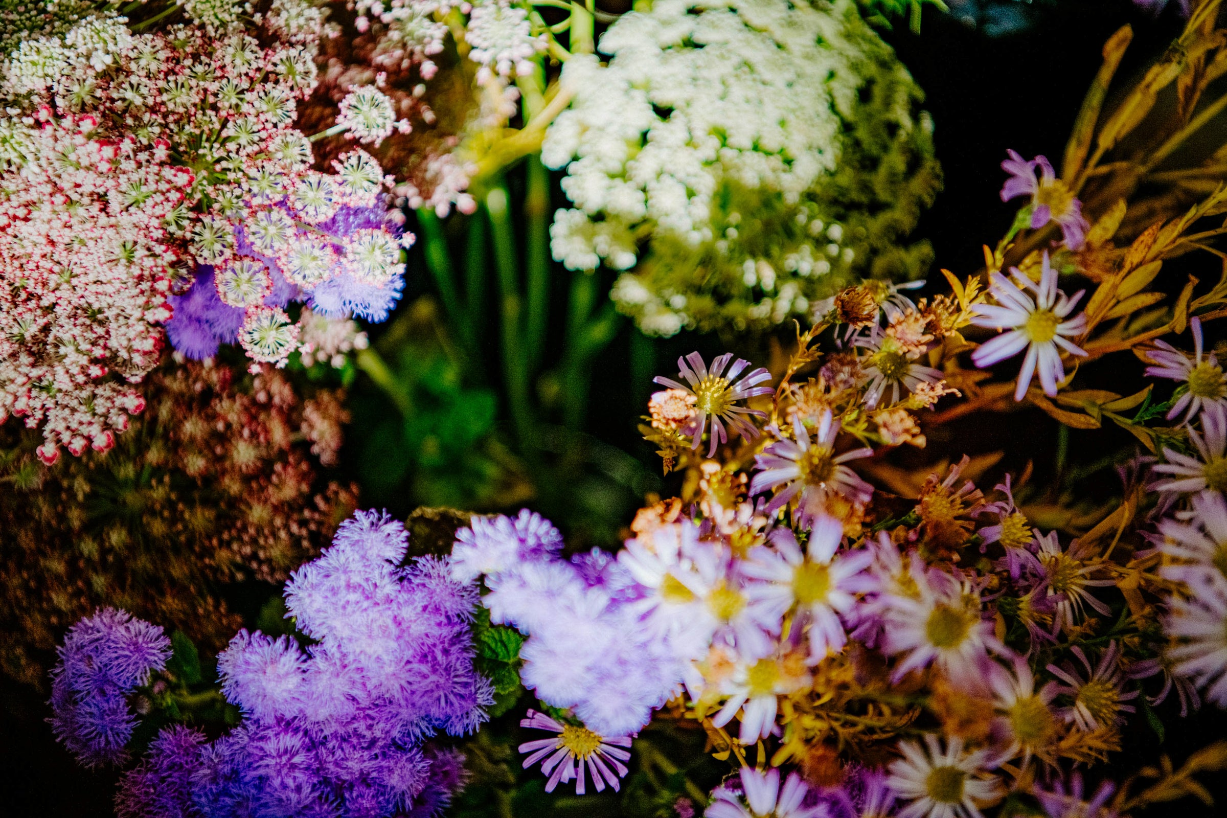 Springtime Offerings