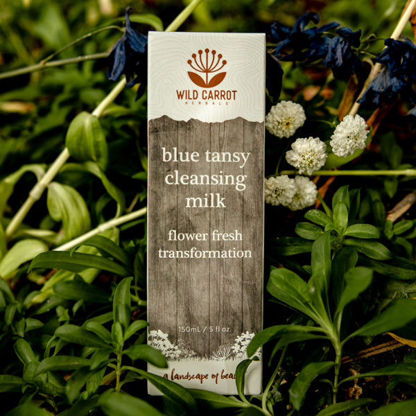 Blue Tansy Cleansing Milk