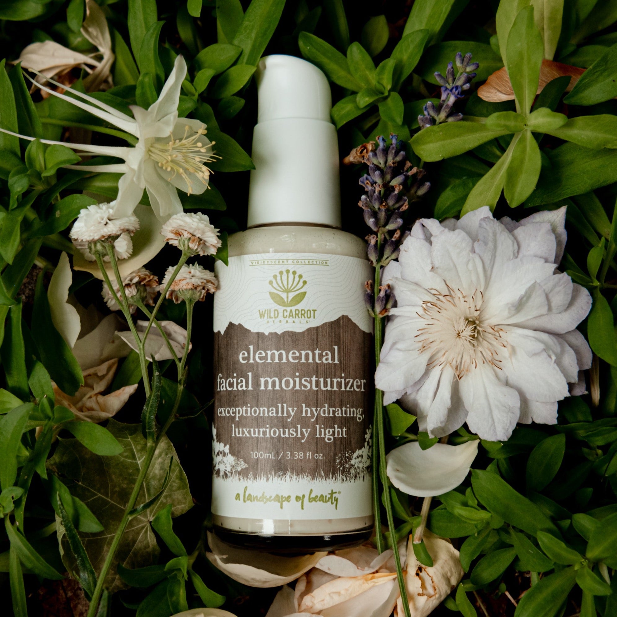 Elemental Facial Moisturizer – Wild Carrot Herbals