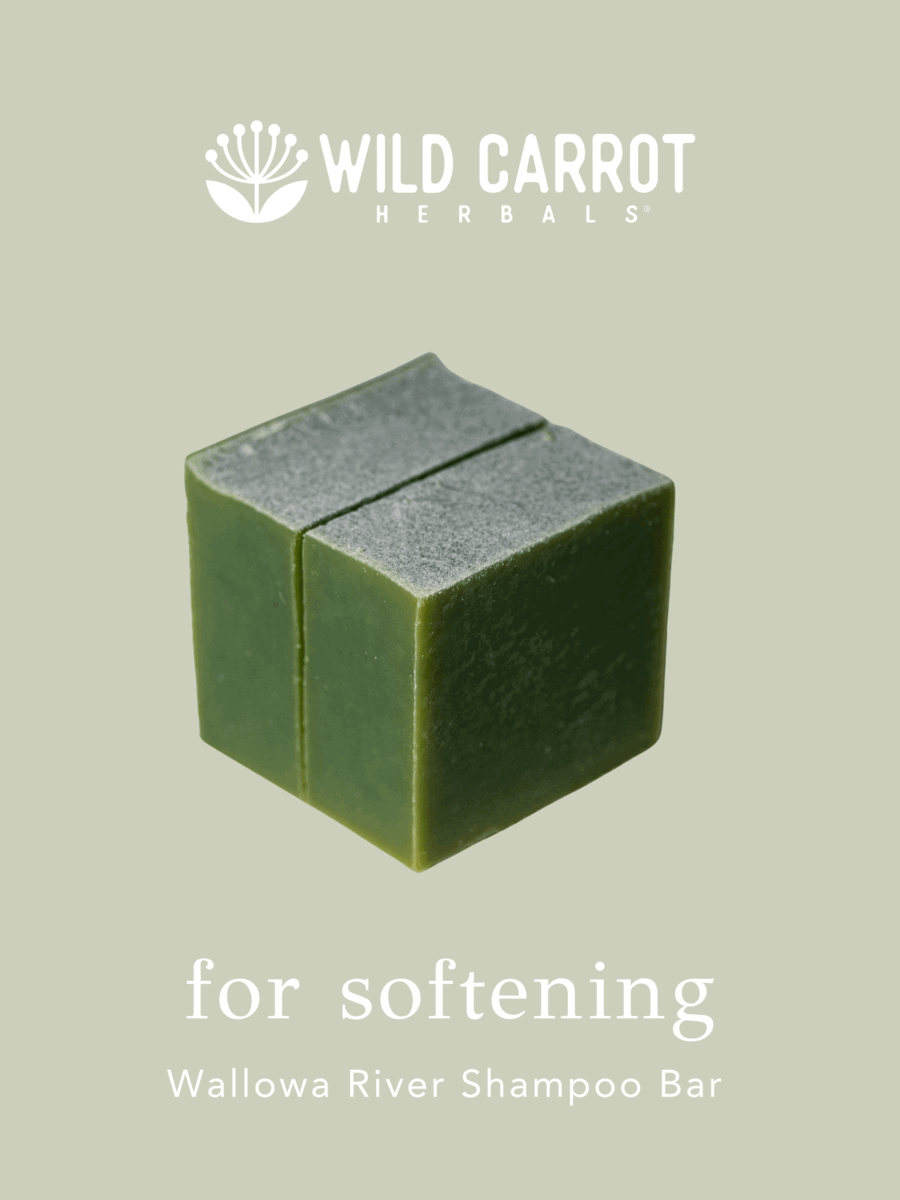 Your Hair Deserves Skincare, Not Just Shampoo Wild Carrot Herbals