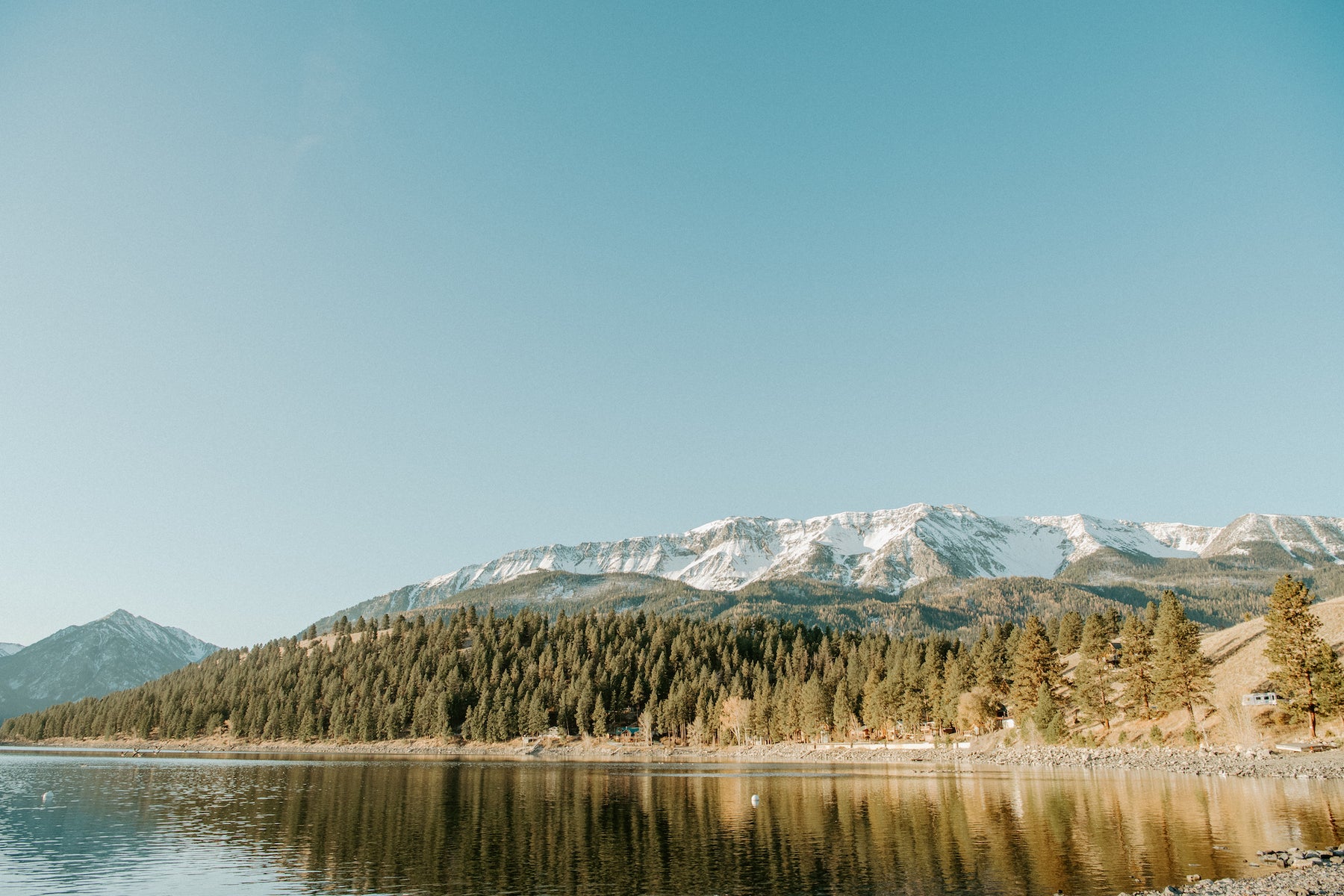 About Us Wild Carrot Herbals