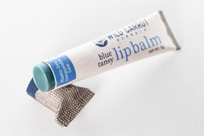 Blue Tansy Lip Balm