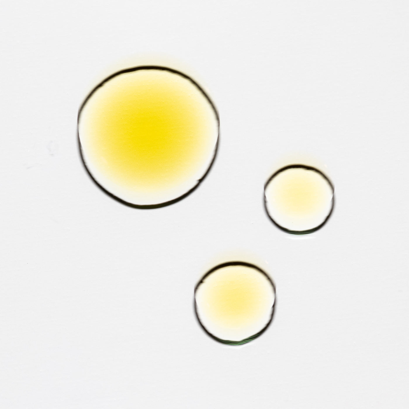 Carrot Seed Oil