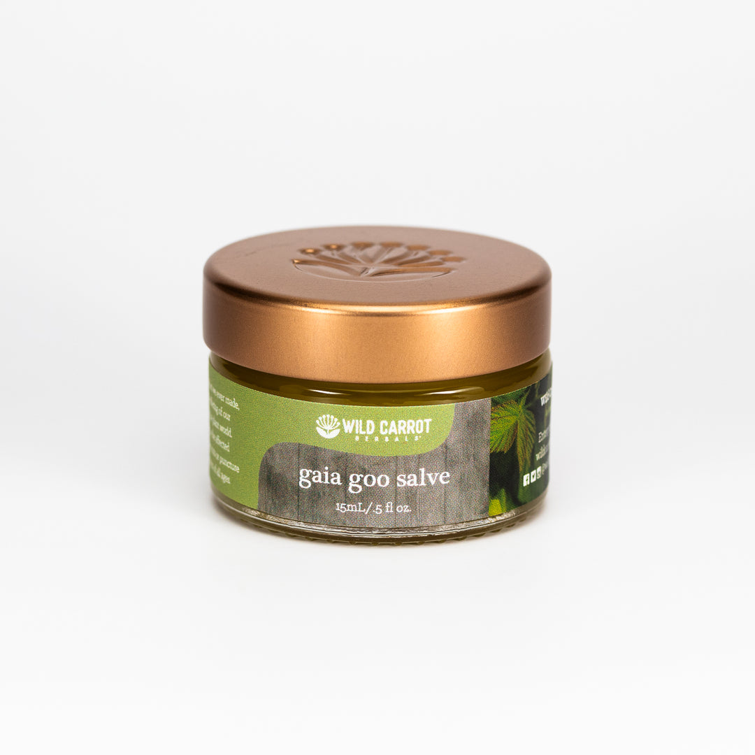 Gaia Goo Salve – Wild Carrot Herbals