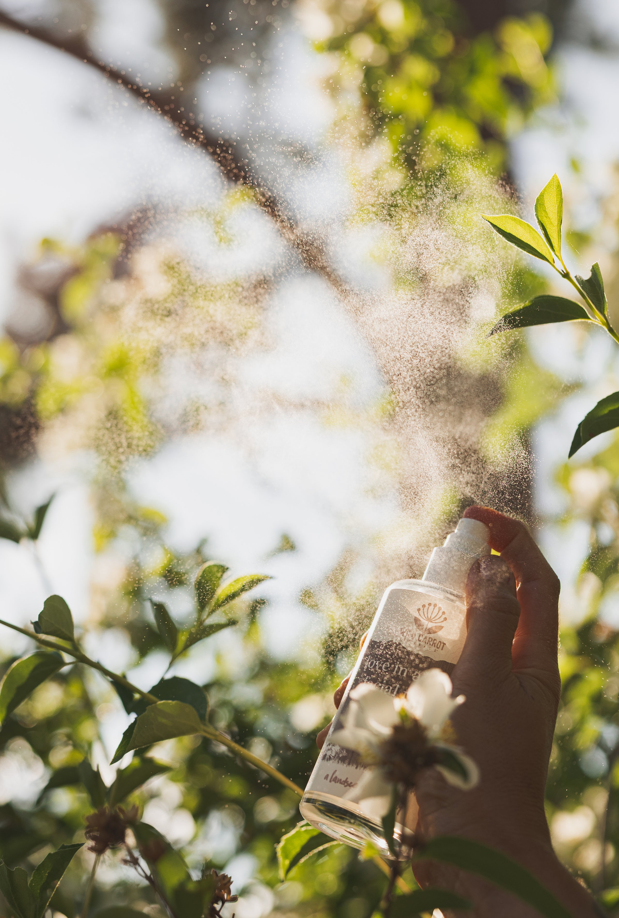 Hand holding a spray bottle with a natural background of leaves and light