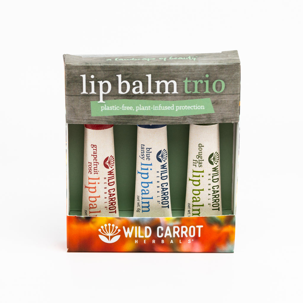 Lip Balm Trio – Wild Carrot Herbals