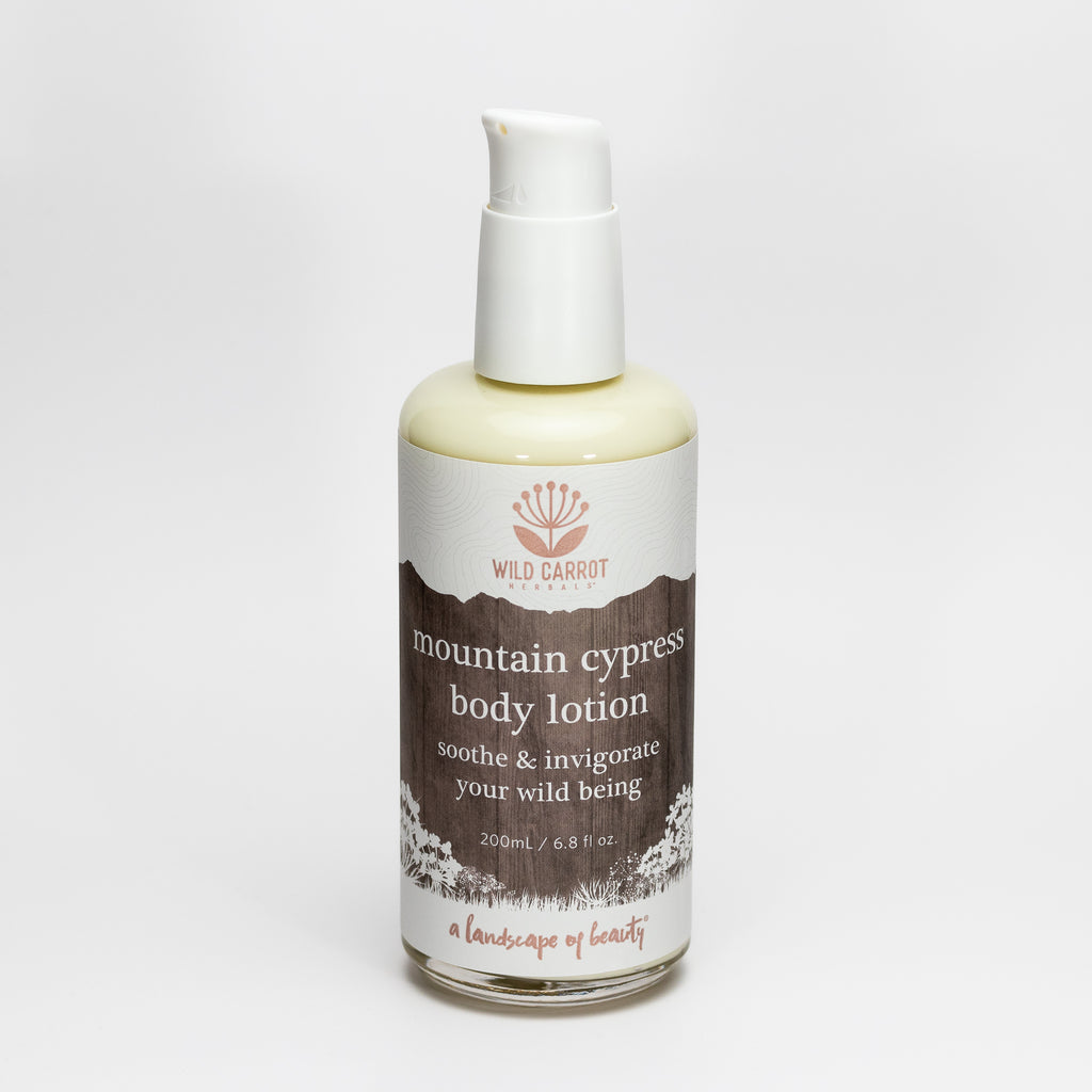 Mountain Cypress Body Lotion – Wild Carrot Herbals