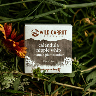Calendula Nipple Whip