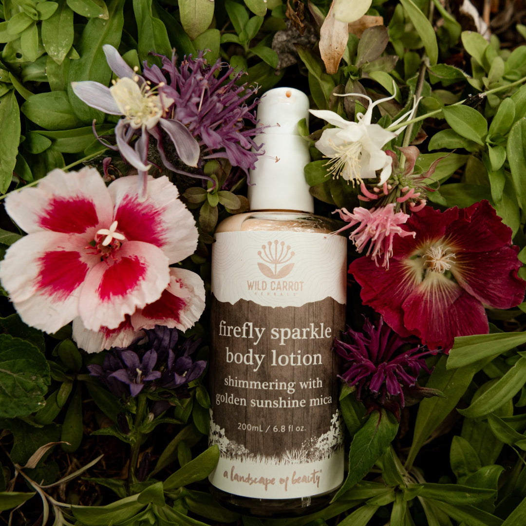 Firefly Sparkle Body Lotion – Wild Carrot Herbals