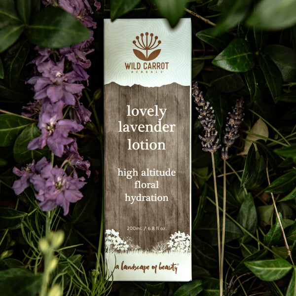 Lovely Lavender Lotion