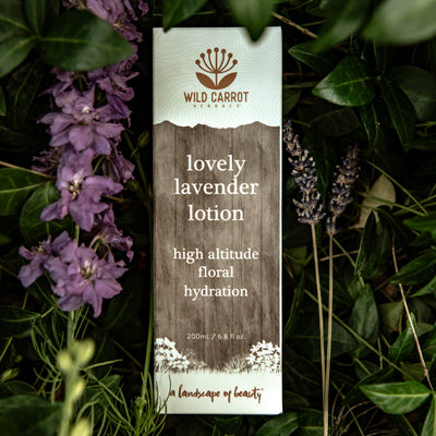 Lovely Lavender Lotion