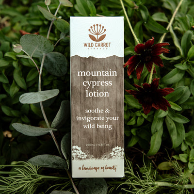 Mountain Cypress Body Lotion