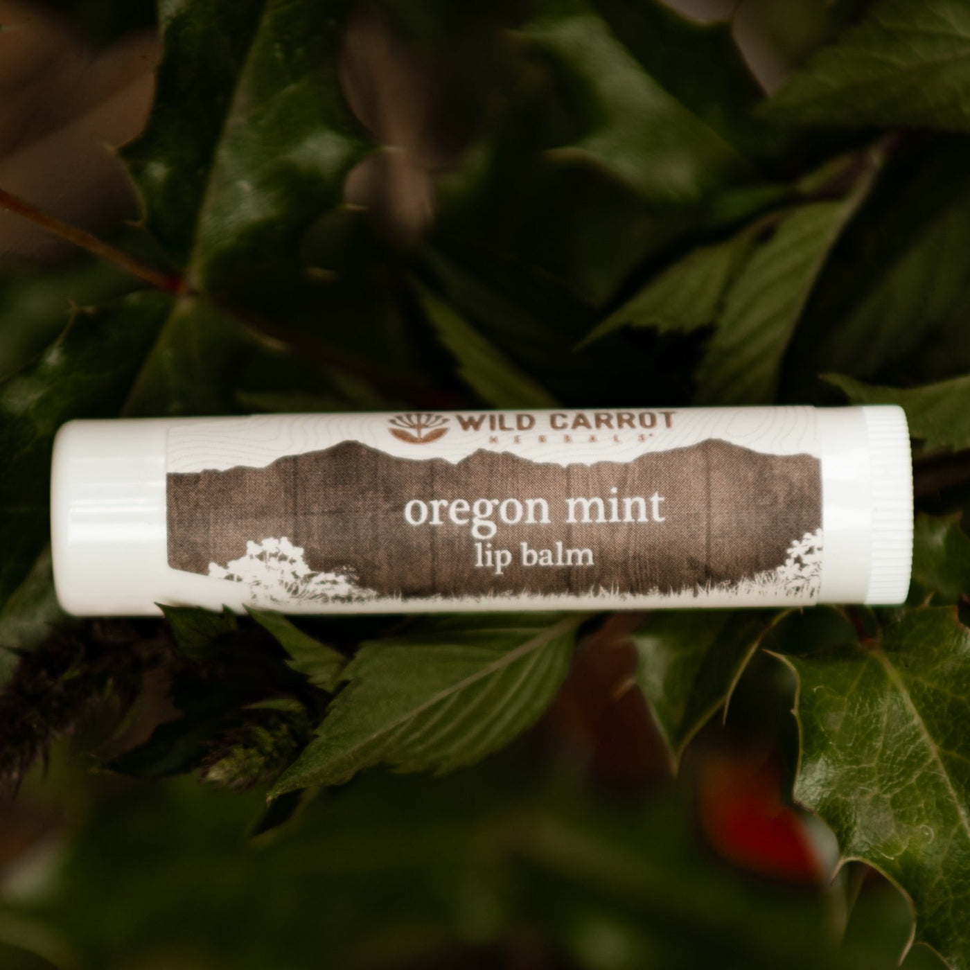 Luscious Lip Balms - Oregon Mint