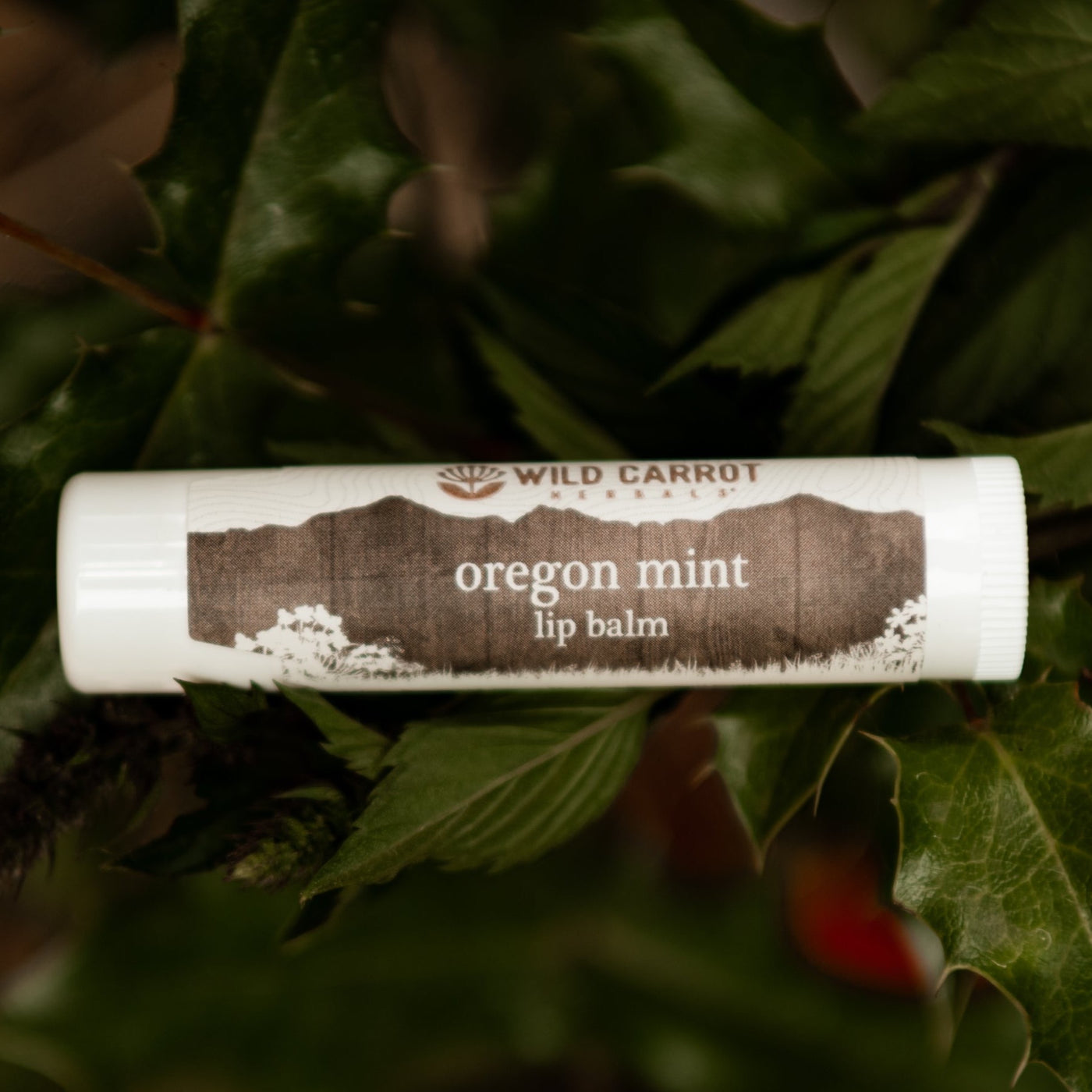 Luscious Lip Balms - Oregon Mint